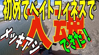 ベイトフィネでメッキ釣り