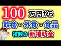 新補助金・最低１００万円・最高５億円など事業者向け・飲食・外食・食品関連補助金2025・食品原材料調達リスク軽減対策事業・米粉・農林水産省【中小企業診断士YouTuber マキノヤ先生】第1991回