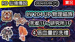 【RO實況# 348】 LV204 UP 🐈物理喵族 - 魂靈師 | 4倍血量的洗禮 | 死都1F、研究所1F | 喵族養成(物理)EP.6 | TWRO 查爾斯伺服器 |Spirit Handler