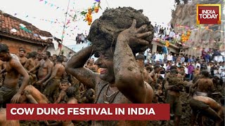 Karnataka Village Spars With Cow Dung To Mark End Of Diwali | Gorehabba Festival 2022