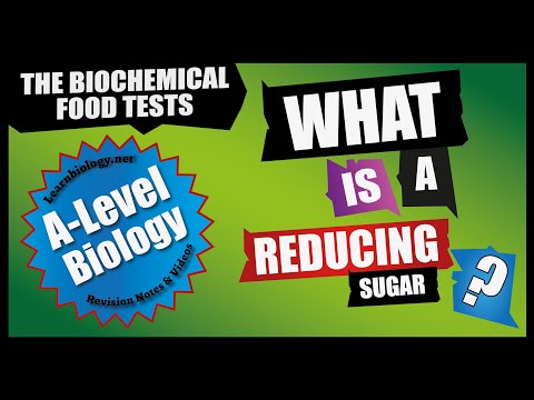 What is a reducing sugar List three examples?