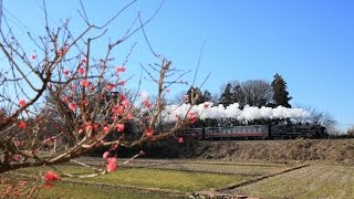 ＳＬ新年号（１月１０日）①