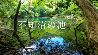 シラヌタの池（東伊豆町）Shiranuta Pond