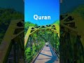 Al Quran Beautiful reaction of Quran #tilawatequran #urdutranslation