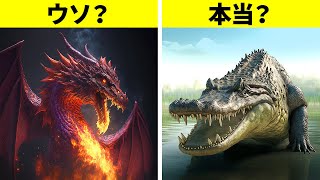 ドラゴンの本当の歴史：火を吐く存在はどこからやってきたのか