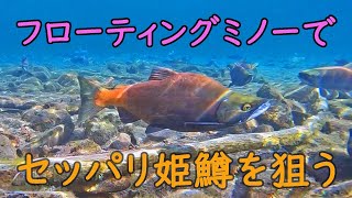 2020　秋屈斜路湖　ヒメマス狙いでミノーイング　ロートルアングラーのLure Fishing