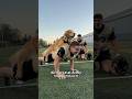 Therapy dogs surprise the West Point Football team!