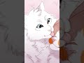 Brightheart Edit (warrior cats edit)