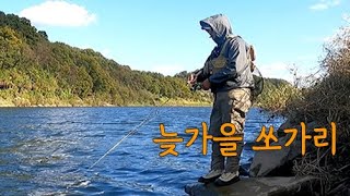 늦가을 쏘가리/ 가을 비 내린 후 찬 바람 불고