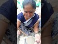 chulivarchi bhakari चुलीवर ची भाकरी viral cooking bhakari shorts