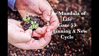 The Mandala of Life/ Episode 30/ Gate 53/Beginning A New Cycle