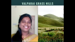 Valparai grass hills | வால்பாறை புல் மலை | Grass hills | Seventh heaven | Akkamalai Grass hills |