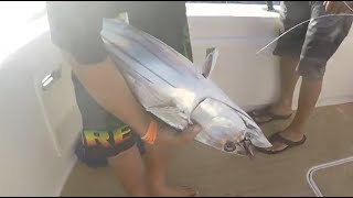 Big game fishing in Hawaii - Aku fishing - ahi fishing - Marlin lures - yellowfin Tuna fishing