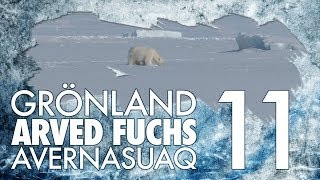 ARVED FUCHS // Avanersuaq-Expedition [Grönland] - #11