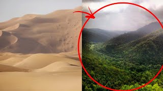 Cómo Los Chinos Convirtieron Los Desiertos En Jardines Florecientes