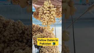 කහ රට ඉදි - Yellow Dates in Pakistan 🇵🇰️ | Darege Suvisariya