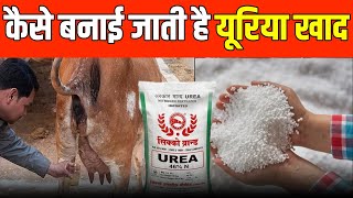 देखिये फैक्ट्री में यूरिया खाद कैसे बनता है | Urea khad kaise banta hai | uriya khad kaise banta hai