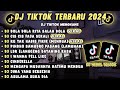 DJ TIKTOK TERBARU 2024 | DJ DOLA DOLA KITA SALAH DOLA 🎵DJ CIS CIS FAJA SEKALI 🎵DJ SEKECEWA ITU🎵FULL