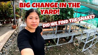 Big Work Day In The Yard | Cobra Snake Update! What Has To Be Done!