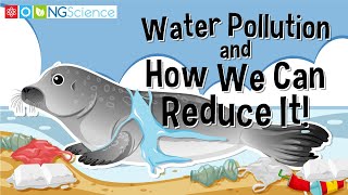 Water Pollution and How We Can Reduce It!
