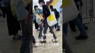 日向坂46  4回目のひな誕祭　横浜　赤レンガ倉庫