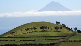Azores Sao Jorge Volcano Update; Large Earthquake, Magma Volume Measured