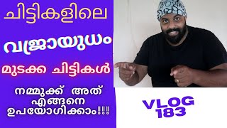 K.S.F.E.യിൽ മുടക്ക ചിട്ടികൾ നമ്മുക്ക് എങ്ങനെ തിരഞ്ഞെടുക്കാം🔥🔥🔥II MALAYALAM VLOG 183