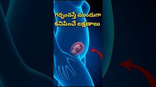 గర్భం వచ్చేముందు కనిపించే లక్షణాలు | Pregnancy Symptoms #pregnancytips #pregnancy #pregnancycare