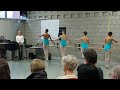 de kunsthumaniora klassiek ballet