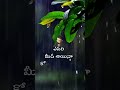 జీవితం సంతోషంగా జీవించండి.... trendingshorts telugu motivation motivational life happy