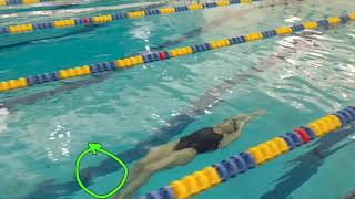 Ali Deloof Analyzes a Backstroke Start + UW + Breakout
