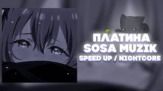 Платина - Бригада [ Speed up / Nightcore ] ( Prod.Don't play with me )