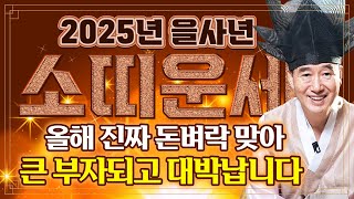 🌟2025년 무조건 대박 터지는 을사년 소띠운세🌟 올해 진짜 상상도 못하는 돈벼락 맞아 돈방석에 앉게됩니다! 61년생 73년생 85년생 97년생 소띠 운세