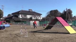 2017_02_12 栗之介＠野田 1strun