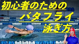 バタフライの泳ぎ方（水中映像）初心者向けに解説