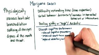 Marijuana effects - Intro to Psychology