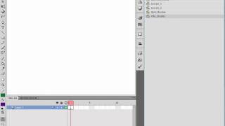 Designing Flash Instructional Modules Using Scenes