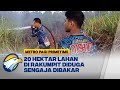 20 Hektar Lahan di Rakumpit Diduga Sengaja Dibakar - [Metro Pagi Primetime]