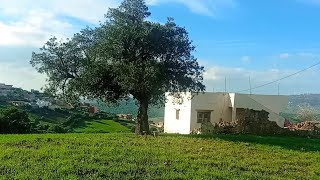 دار وغرسة 🏡 فالطبيعة الخلابة 🌲 مساحة 1147مترمنطقةالرمان ملوسة طنجة