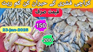 Biggest Fish Market in Karachi Pakistan 2025 | Fish Market Karachi Today | Karachi Fishery Rates