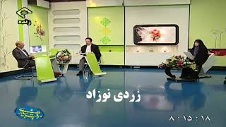 درمان زردی سریع نوزادان از زبان حکیم خیر اندیش