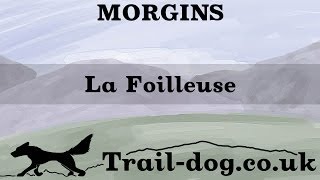 La Foilleuse - Morgins