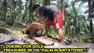 KAYA MENDADAK,.!! MENEMUKAN HARTA KARUN EMAS YANG TERKUBUR JUTAAN TAHUN LAMANYA || GOLDEN TREASURE