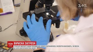 Біологічна зброя чи звичайний вірус: довкола коронавірусу розгорнулися вчені дискусії