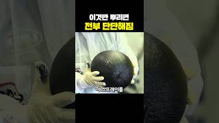 이것만 뿌리면 전부 단단해짐 #shorts