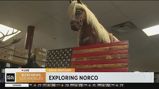 Shopping at the Thrifty Horse in Norco: SoCal Spotlight