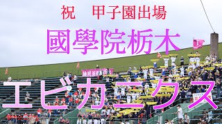 【祝・甲子園出場】國學院栃木　エビカニクス(2022栃木大会3回戦)