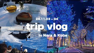 [ trip vlog ] 나라 \u0026 고베 여행 브이로그 | 카페 | 카스가신사 | 스마시월드 / 奈良 \u0026 神戸旅行Vlog | カフェ | 春日大社 | 須磨シーワールド