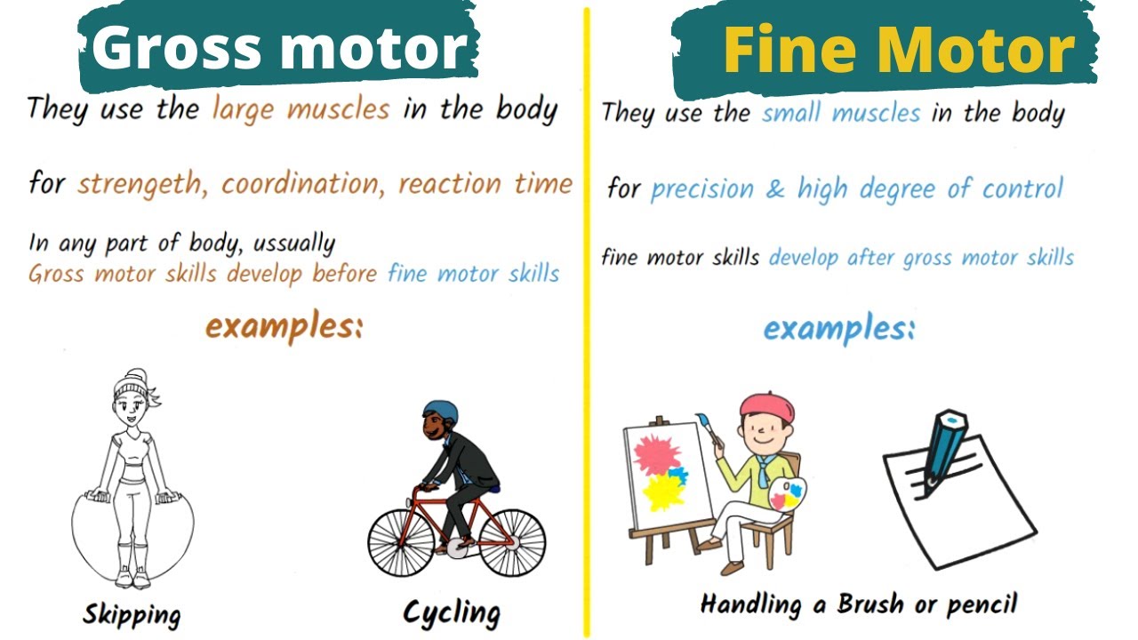 Child Physical Development Gross And Fine Motor Skills Infoupdate Org Child Physical Development Gross And Fine Motor Skills Infoupdate Org