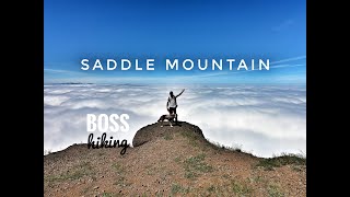 Saddle Mountain, Seaside Oregon